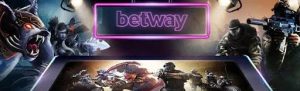 Read more about the article betway กับการแทง e-sport